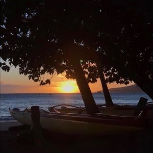 Meet your Posher, Joan